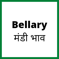 Ballari-mandi-bhav