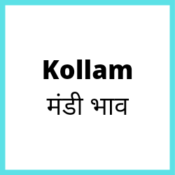 Kollam-mandi-bhav