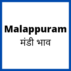 Malappuram-mandi-bhav