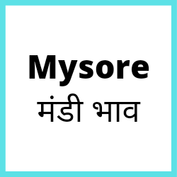 Mysore-mandi-bhav