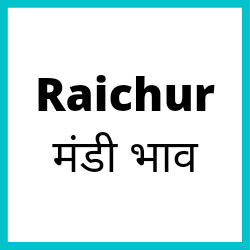 Raichur-mandi-bhav
