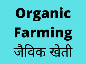 organic-farming