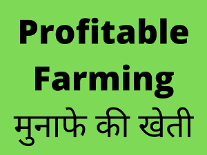 profitable-farming